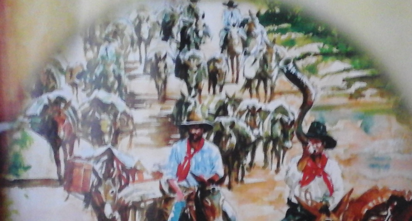 CAPIM BRANCO